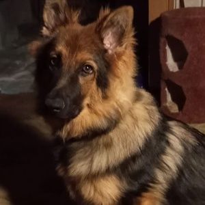 Meet your Posher, Randy